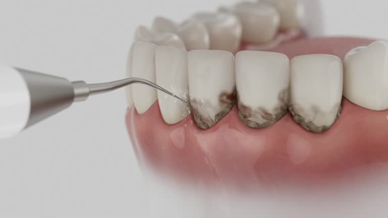 Reliable Dental contractor in Jackson, MI by Dentist Open Now